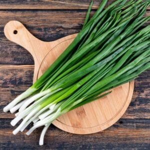 Allium cepa (Spring Onion) Totem